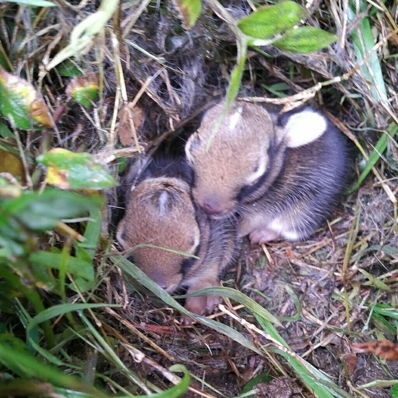 Meet your Posher, Margo - Picture 1 of 1